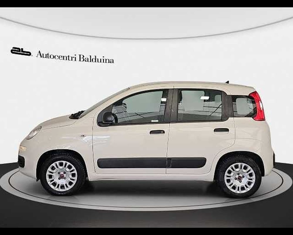 Fiat Panda usata a Roma (3)