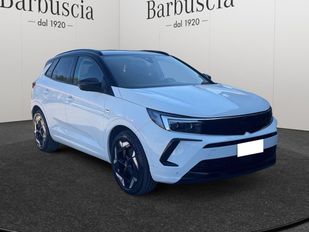 Opel Grandland usata a Pescara (2)