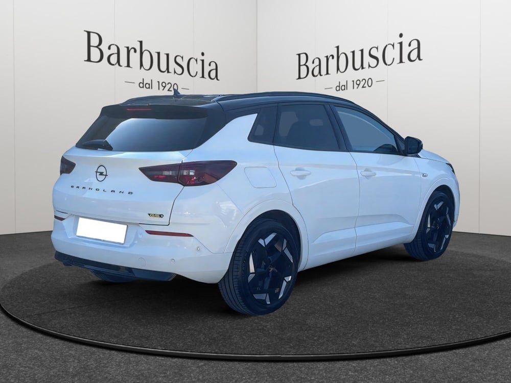 Opel Grandland usata a Pescara (3)