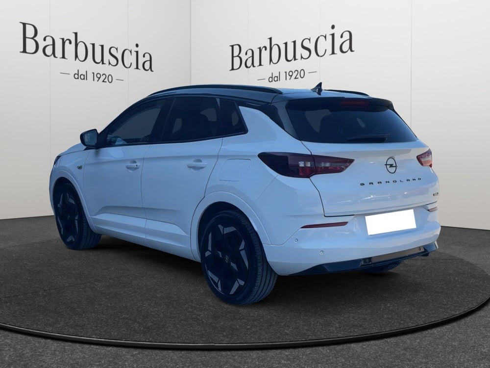 Opel Grandland usata a Pescara (4)