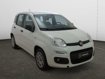 Fiat Panda 1.2 Easy del 2019 usata a Torino
