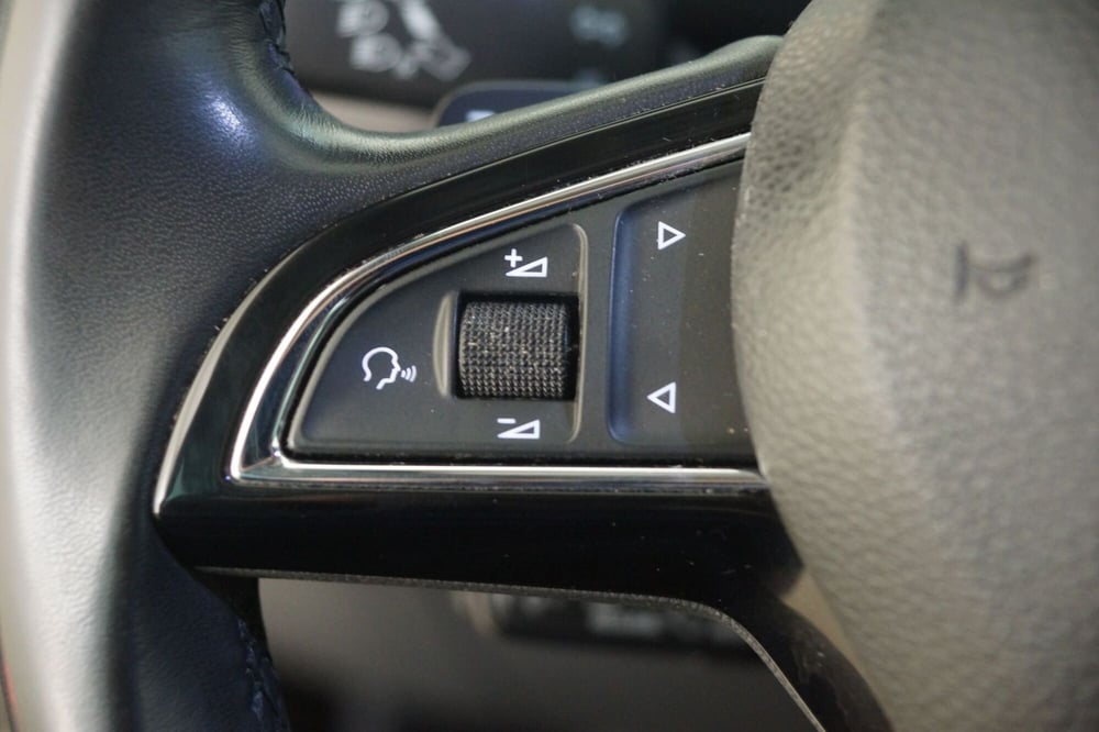 Skoda Kodiaq usata a Torino (14)
