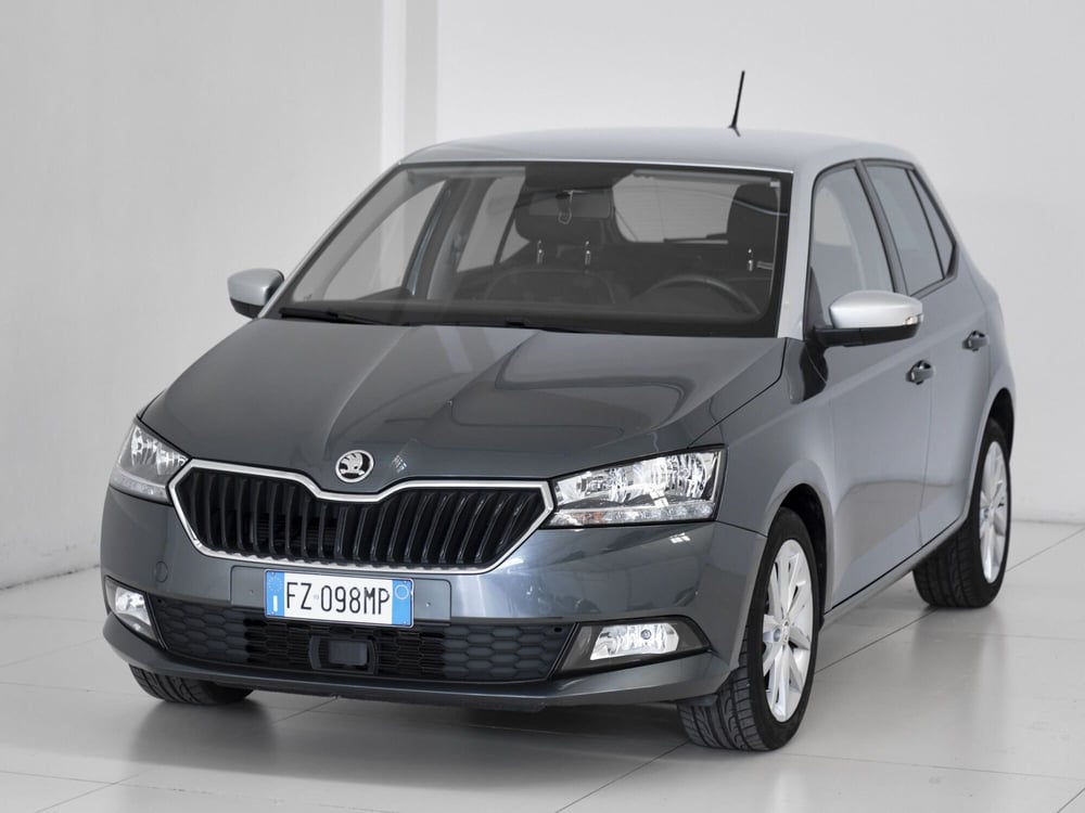 Skoda Fabia usata a Prato (2)