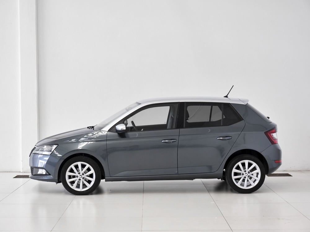 Skoda Fabia usata a Prato (3)