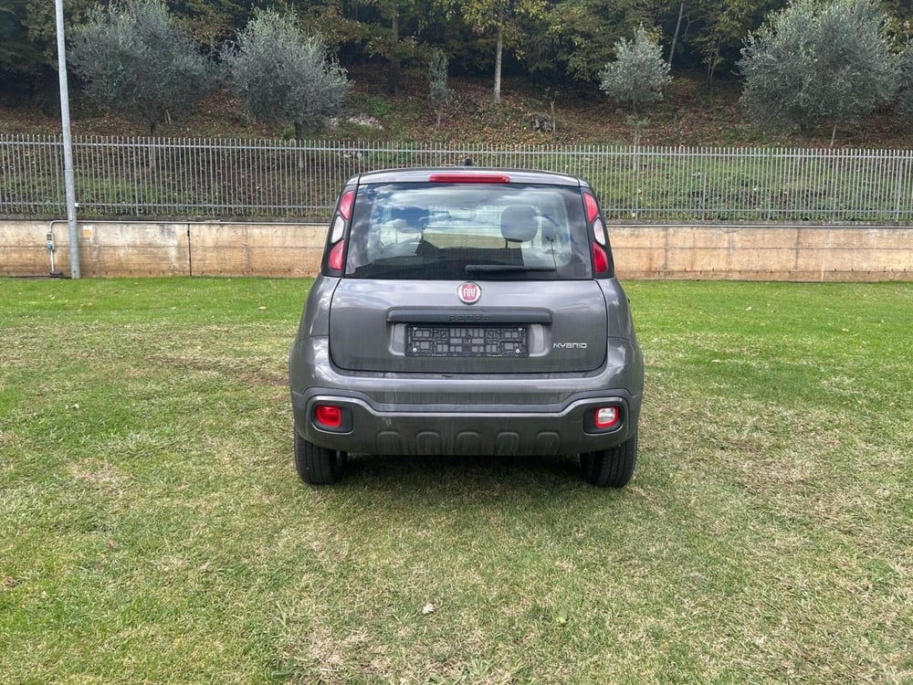 Fiat Panda usata a Salerno (12)