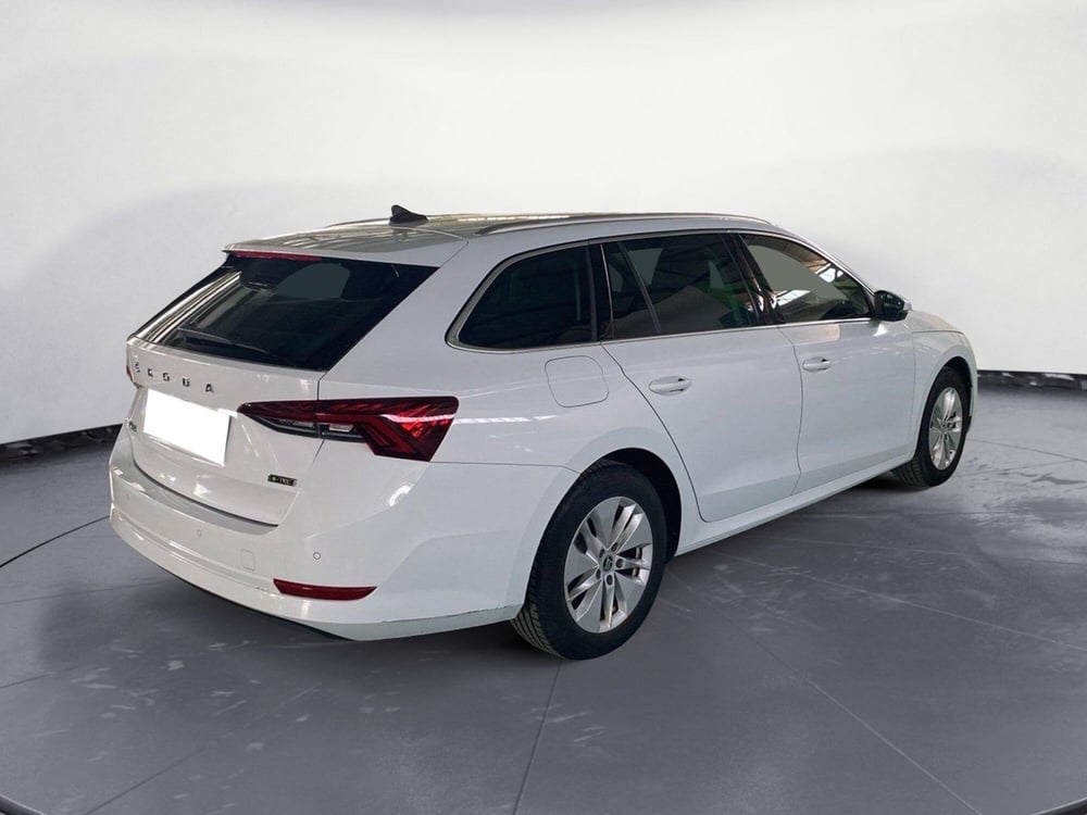Skoda Octavia Station Wagon usata a Reggio Calabria (6)