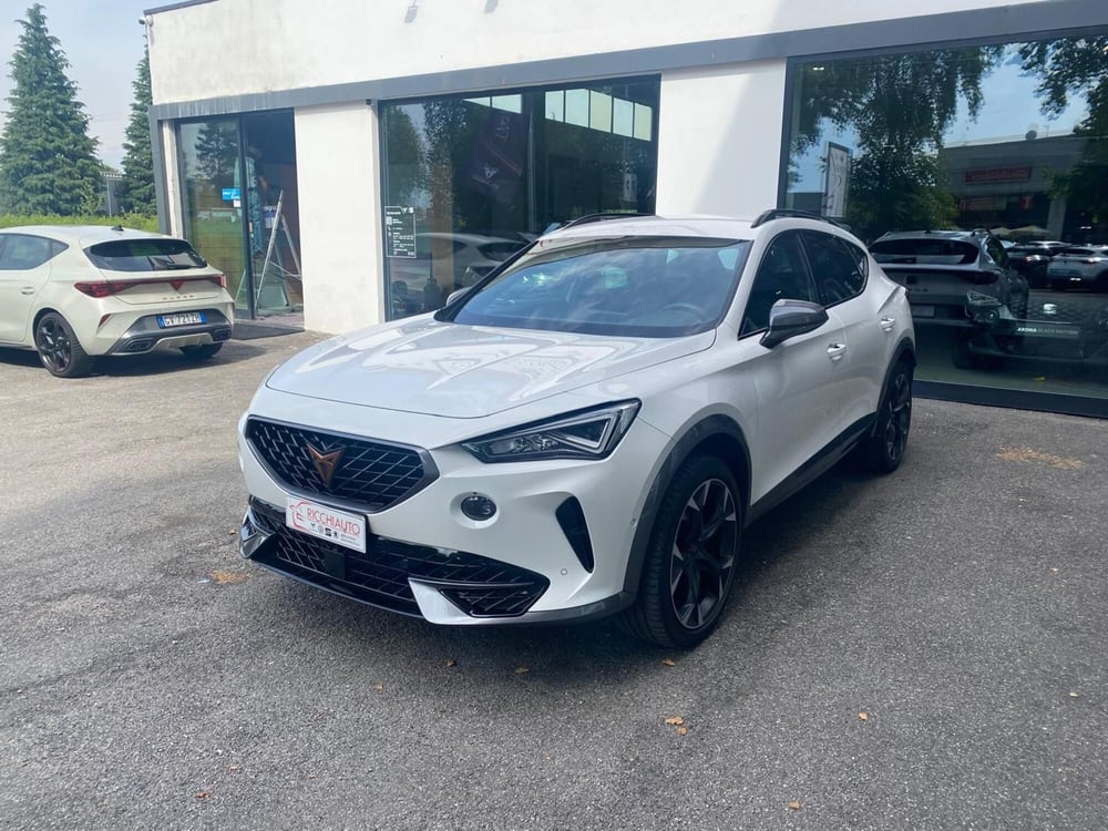 Cupra Formentor usata a Monza e Brianza (2)