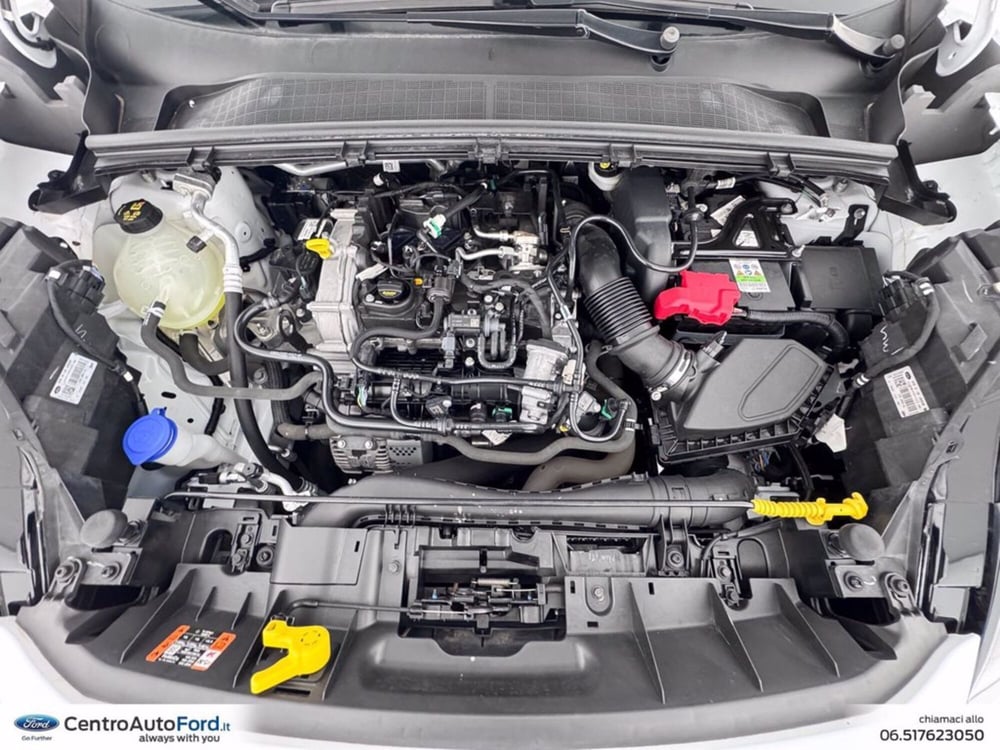 Ford Puma usata a Roma (13)