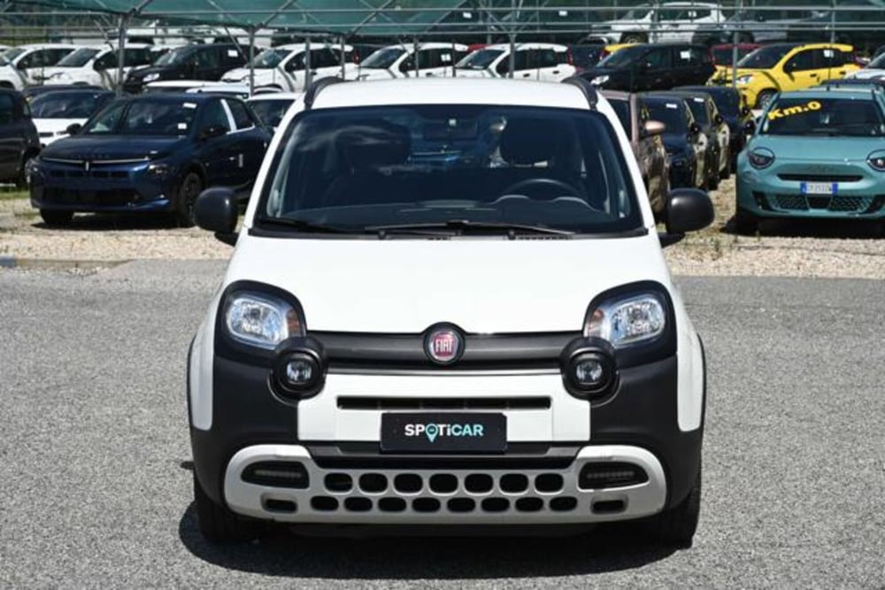 Fiat Panda usata a Torino (2)