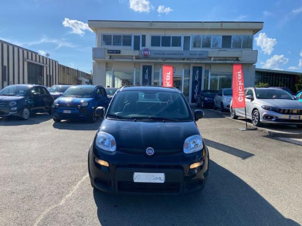 Fiat Panda usata a Firenze (2)