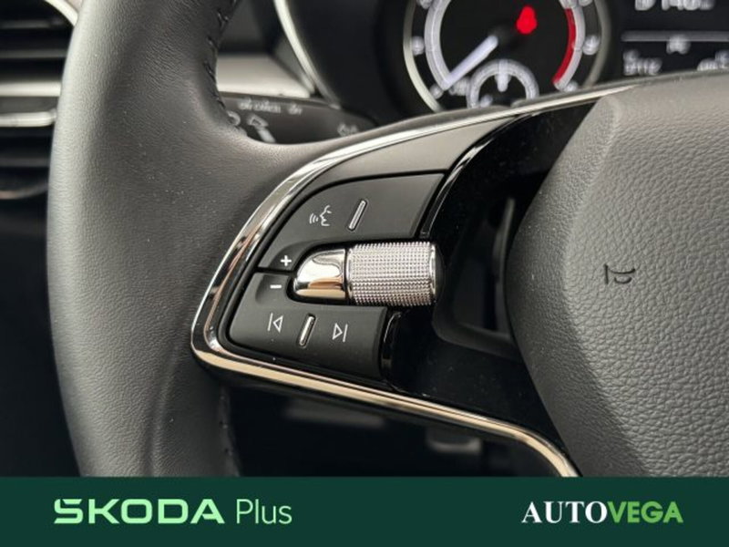 Skoda Fabia usata a Vicenza (18)