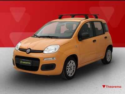 Fiat Panda 1.0 firefly hybrid s&amp;s 70cv 5p.ti del 2020 usata a Torino