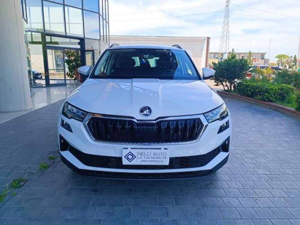 Skoda Karoq usata a Pisa (15)