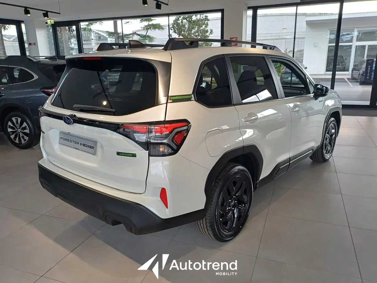 Subaru Forester nuova a Bari (4)