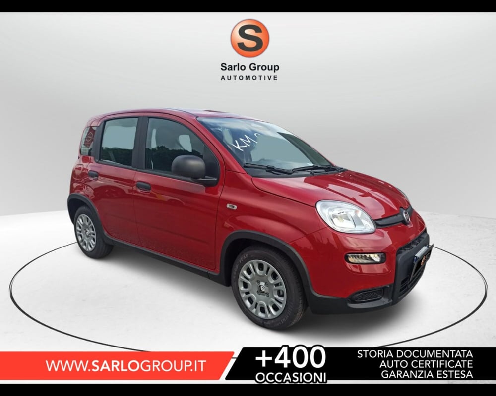 Fiat Panda Cross nuova a Treviso