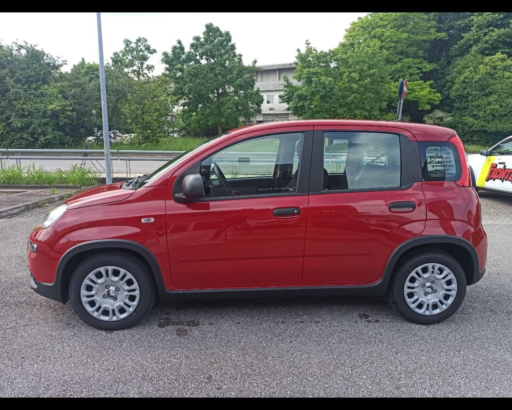 Fiat Panda Cross nuova a Treviso (14)