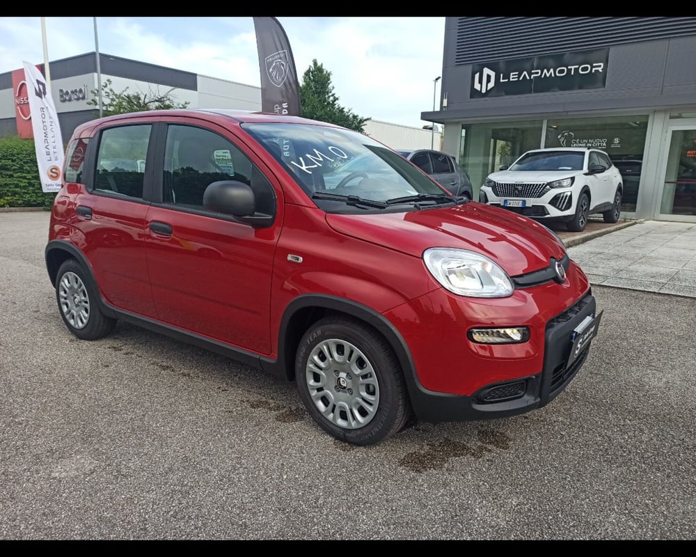 Fiat Panda Cross nuova a Treviso (4)