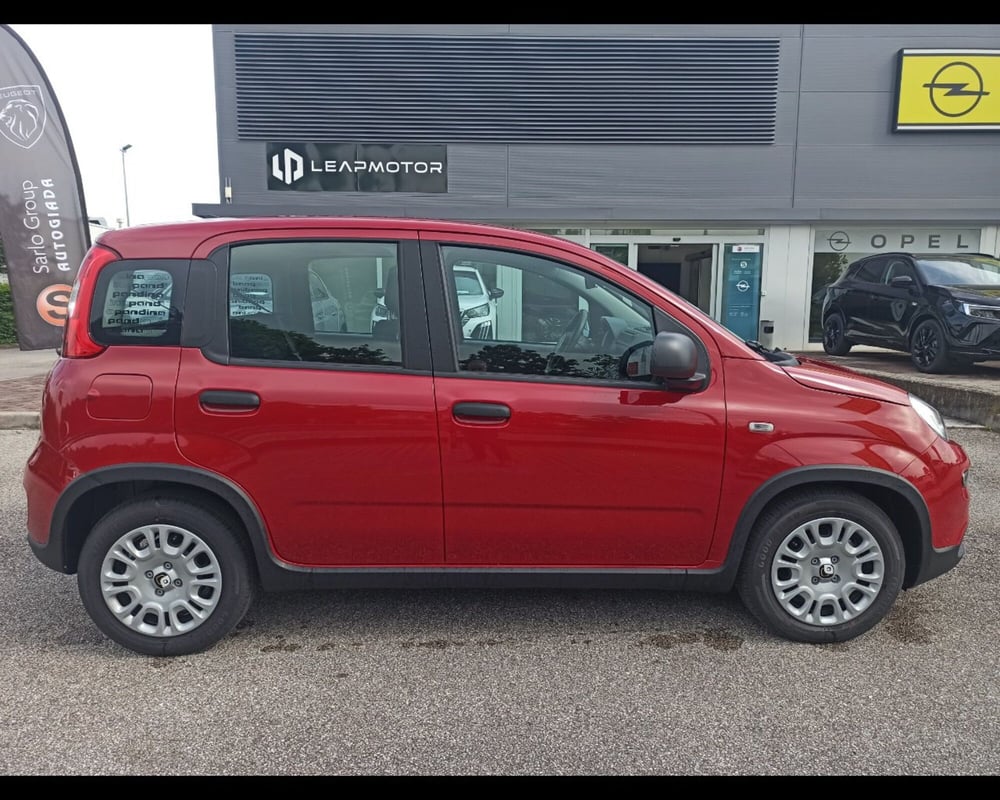 Fiat Panda Cross nuova a Treviso (5)