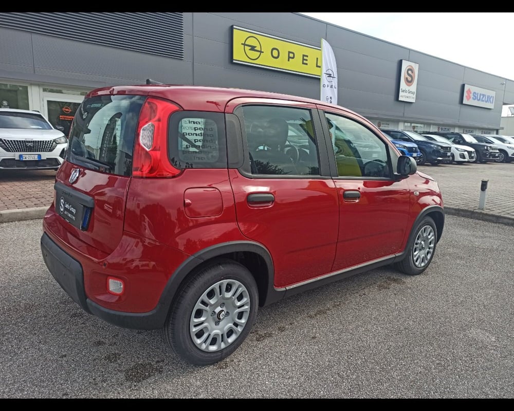 Fiat Panda Cross nuova a Treviso (6)