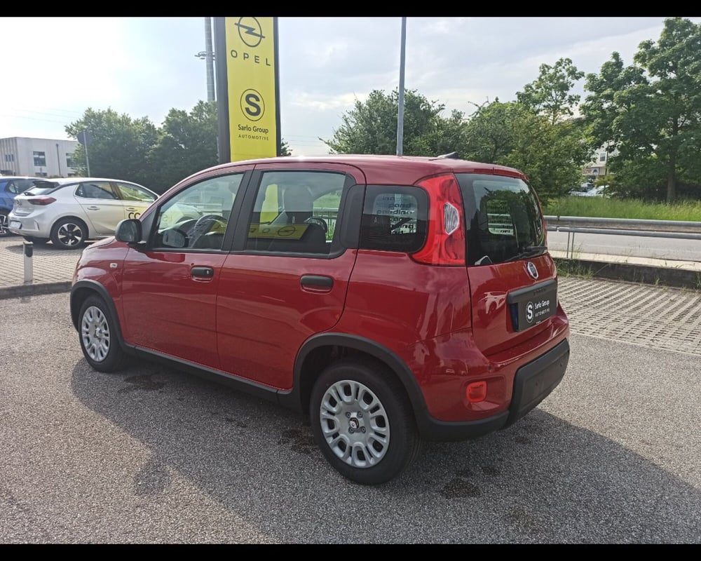 Fiat Panda Cross nuova a Treviso (8)
