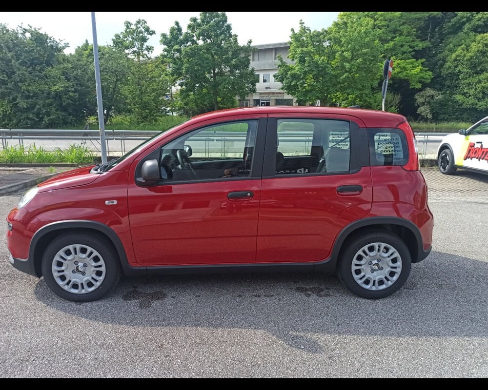 Fiat Panda Cross nuova a Treviso (9)