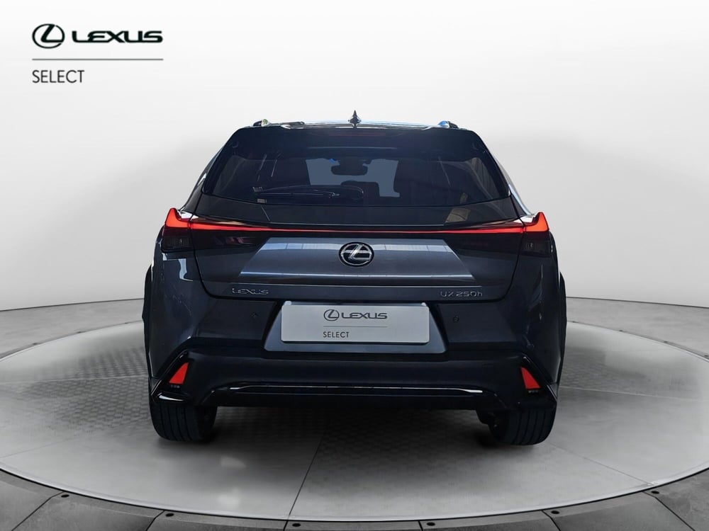 Lexus UX usata a Cremona (2)