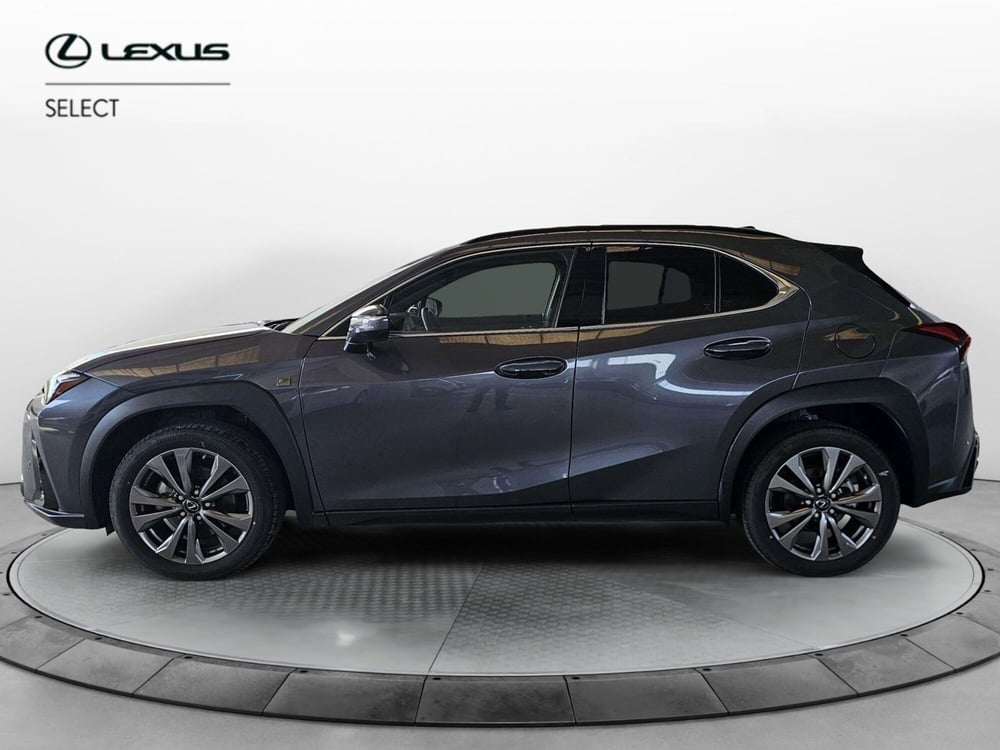 Lexus UX usata a Cremona (3)