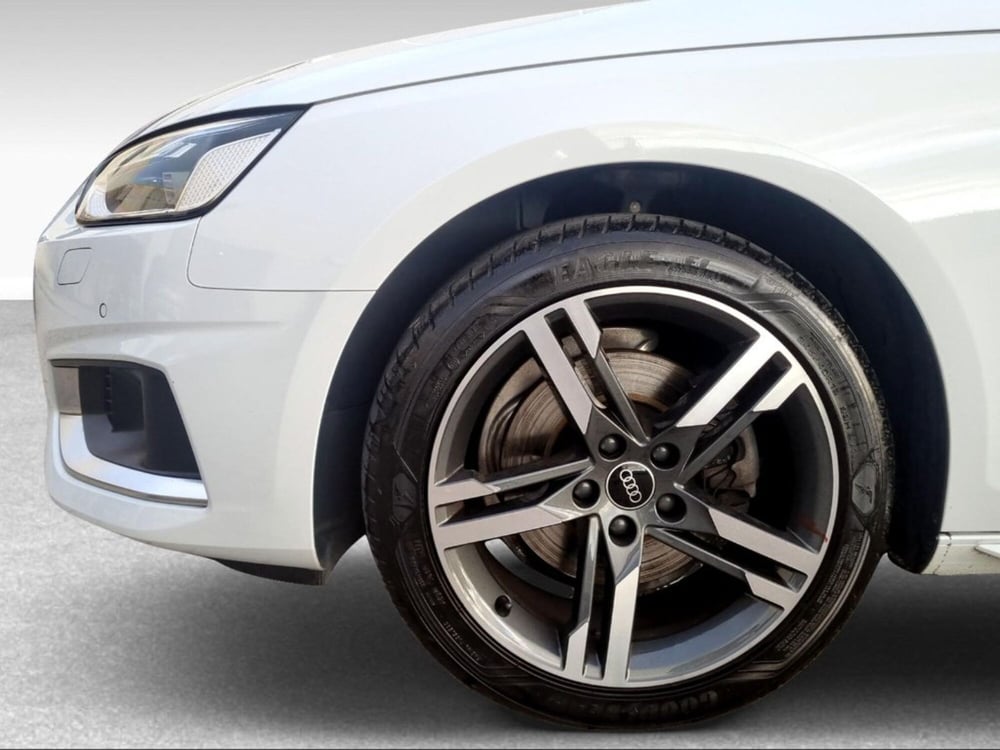 Audi A4 usata a Livorno (17)