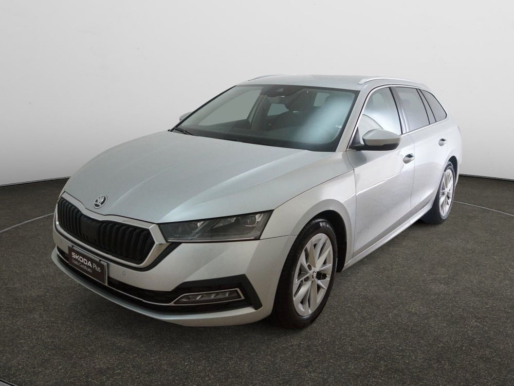 Skoda Octavia Station Wagon usata a Torino (3)