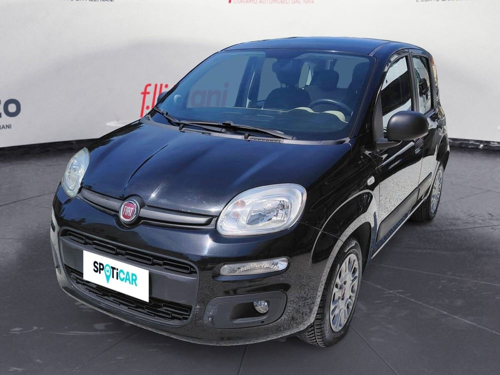 Fiat Panda usata a Massa-Carrara