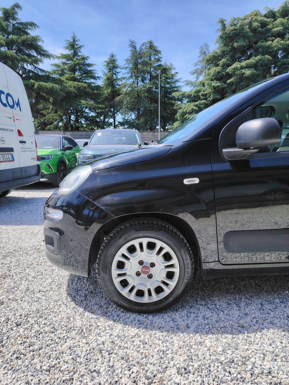 Fiat Panda usata a Massa-Carrara (12)