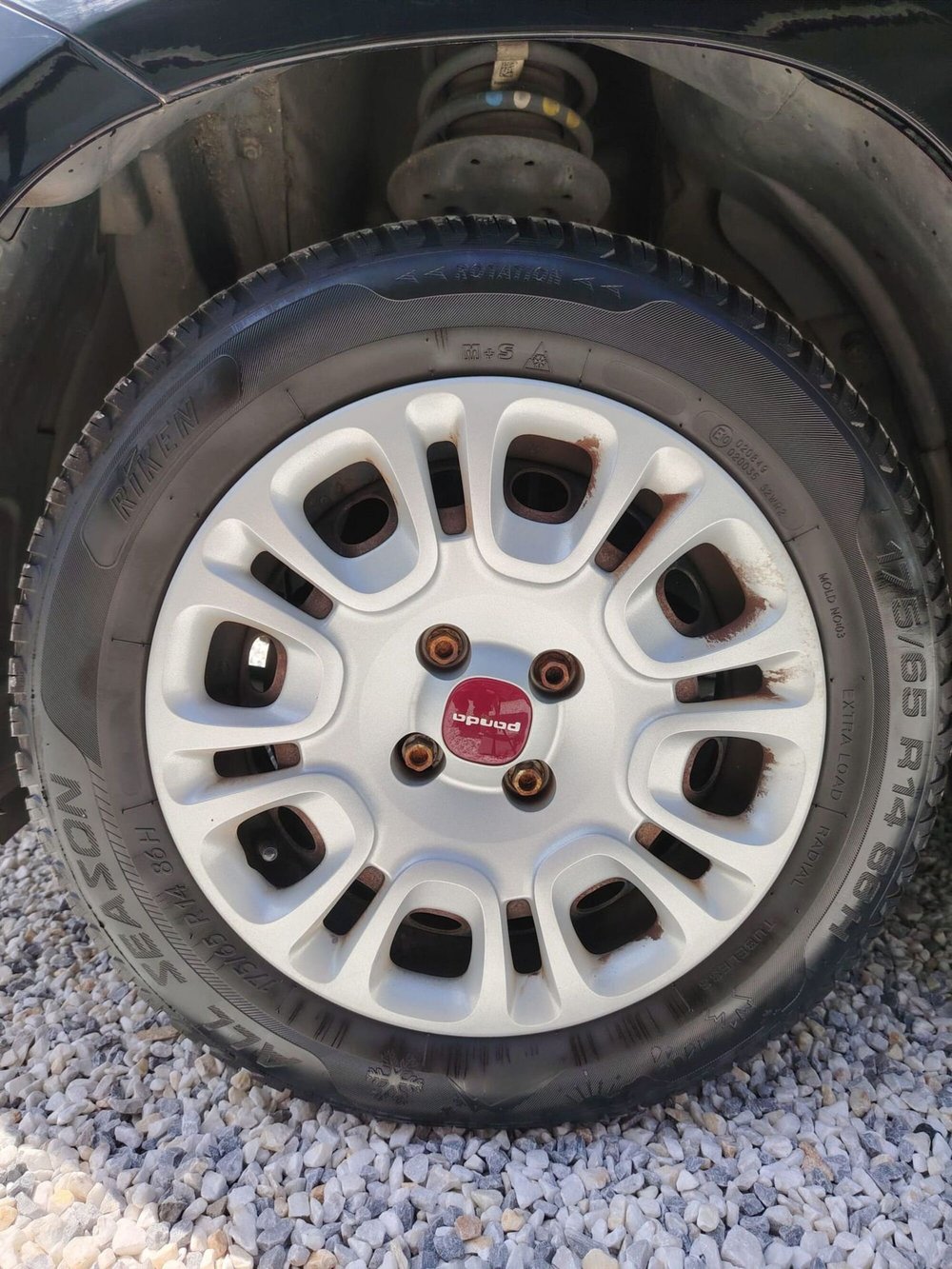 Fiat Panda usata a Massa-Carrara (19)