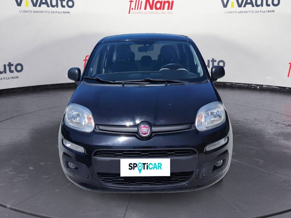 Fiat Panda usata a Massa-Carrara (3)