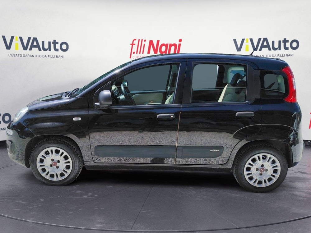 Fiat Panda usata a Massa-Carrara (6)