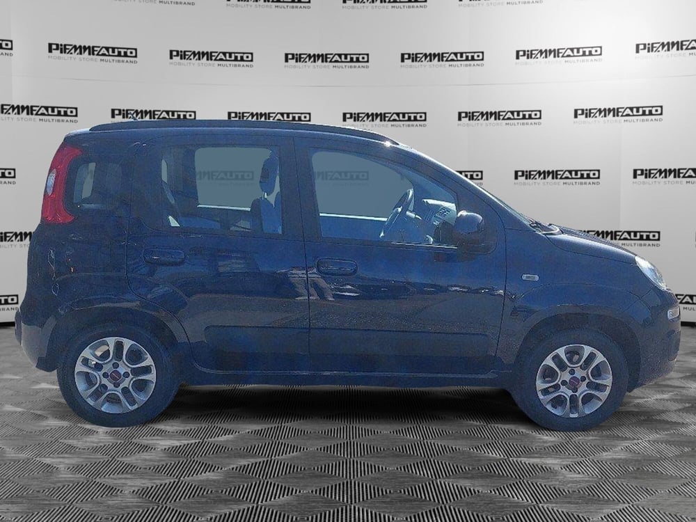 Fiat Panda usata a Piacenza (7)