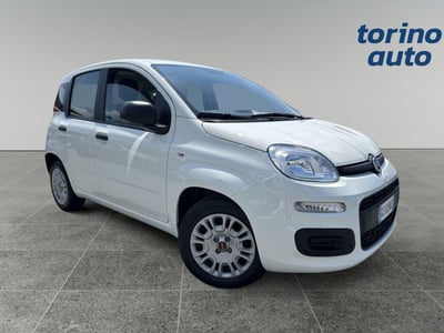 Fiat Panda 1.0 FireFly S&amp;S Hybrid Easy del 2020 usata a Torino