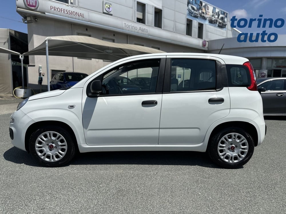 Fiat Panda usata a Torino (5)