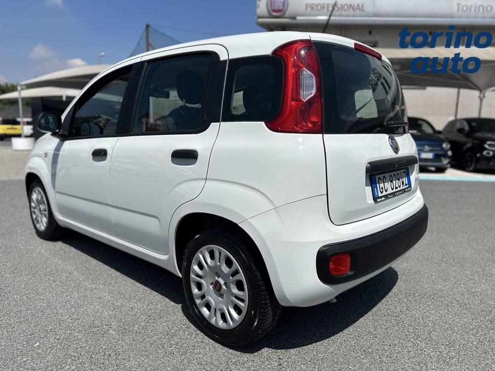 Fiat Panda usata a Torino (6)