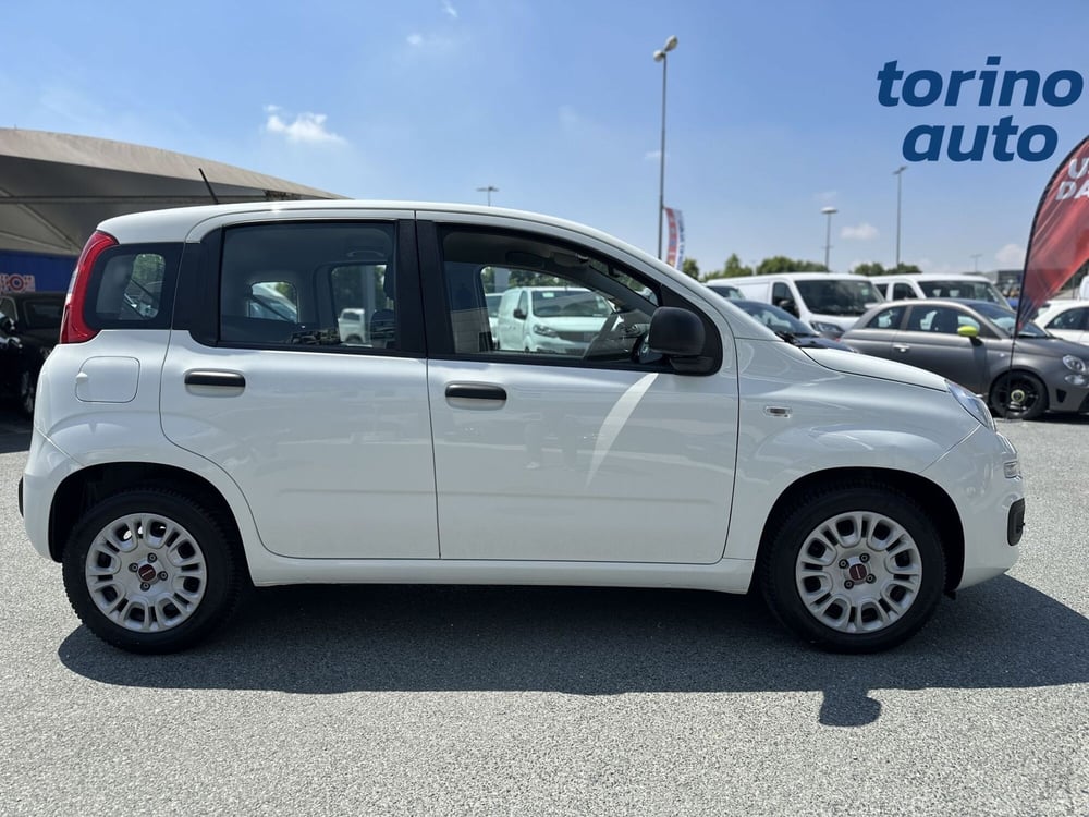 Fiat Panda usata a Torino (9)