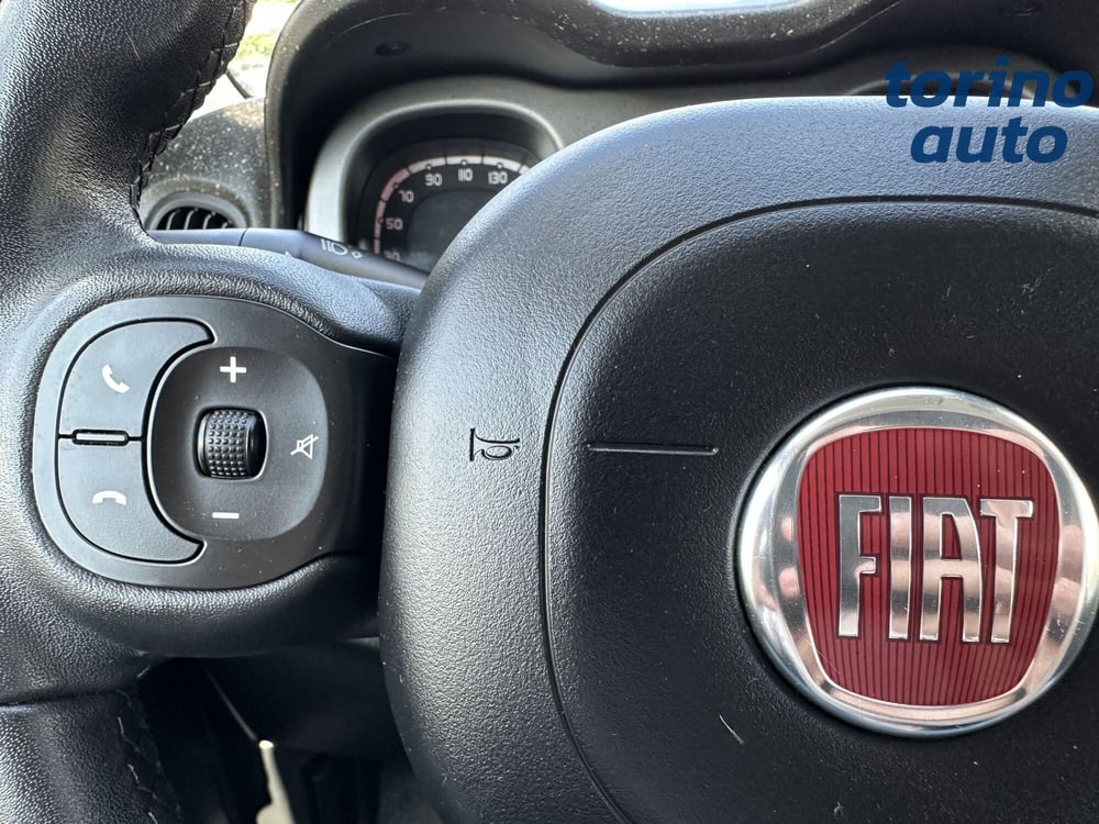 Fiat Panda Cross usata a Torino (15)