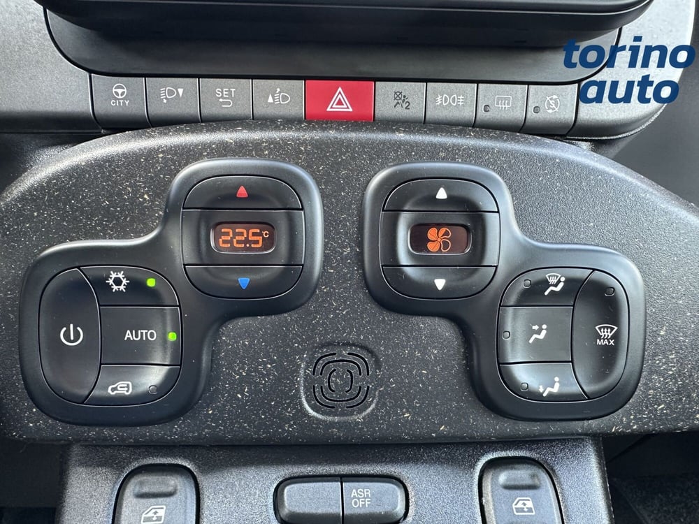 Fiat Panda Cross usata a Torino (19)