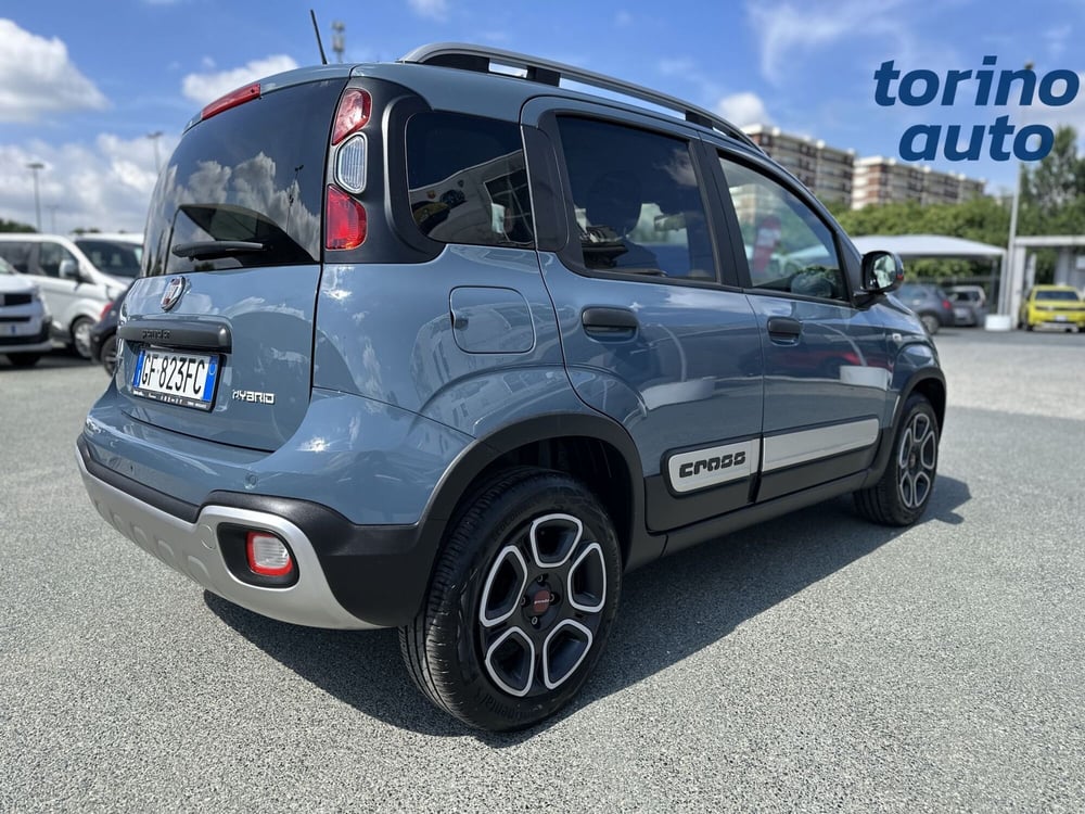 Fiat Panda Cross usata a Torino (7)