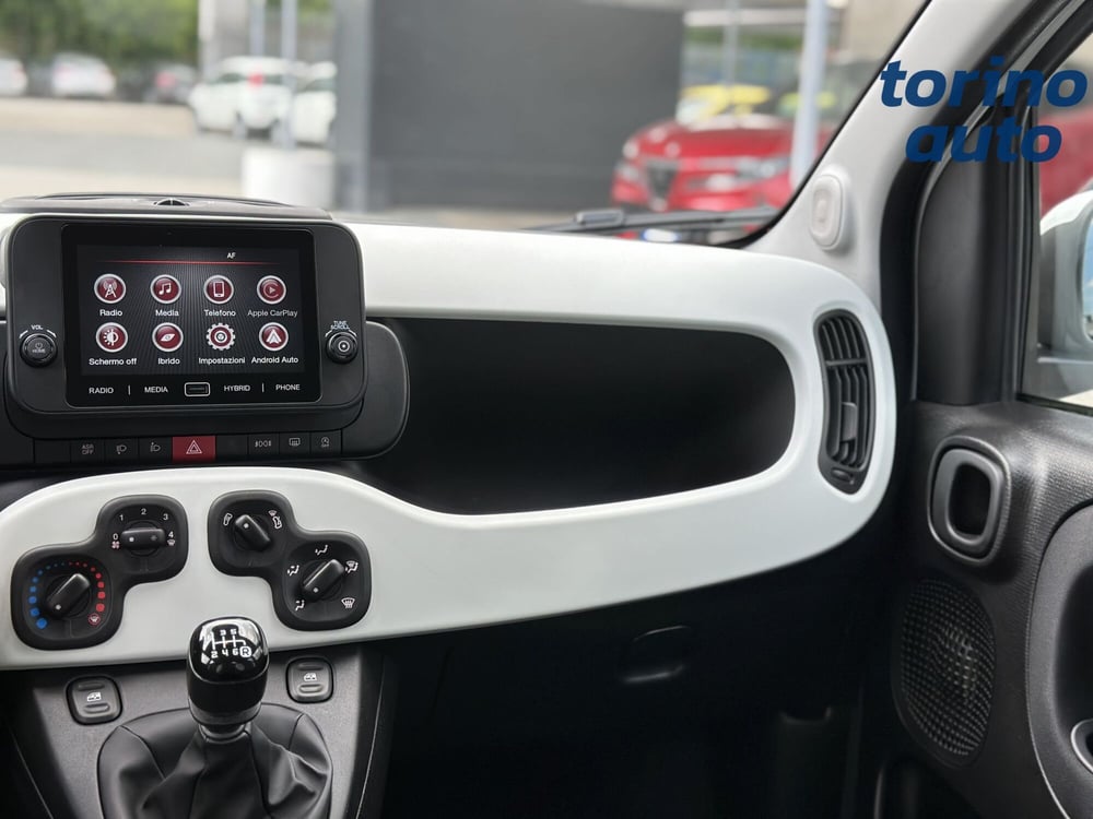 Fiat Panda Cross usata a Torino (13)
