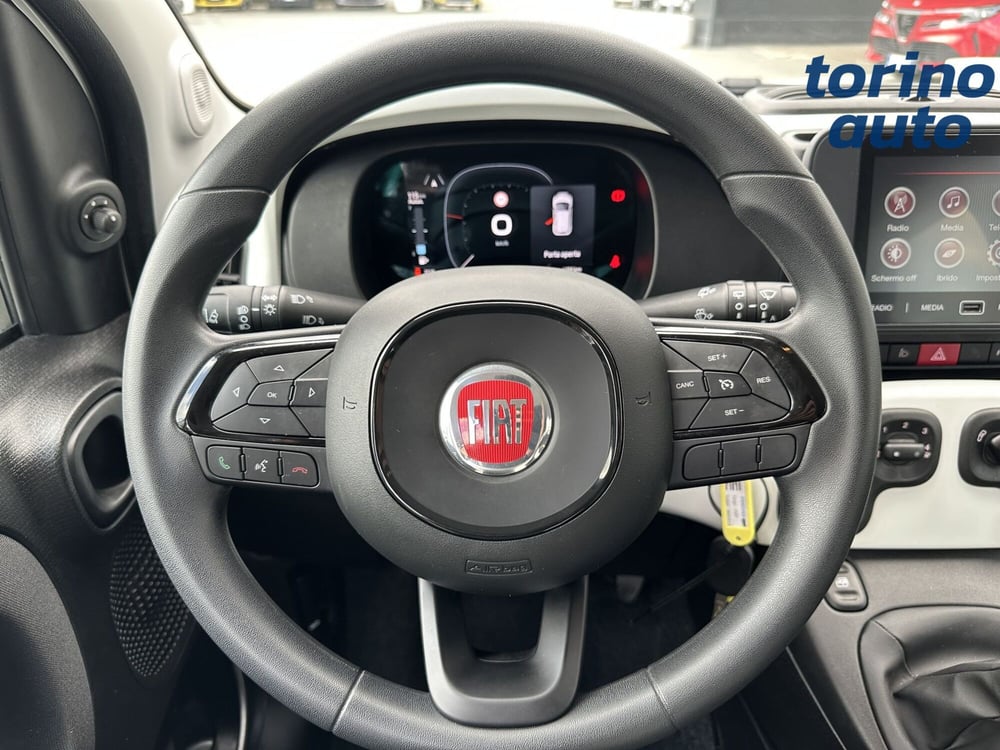 Fiat Panda Cross usata a Torino (15)