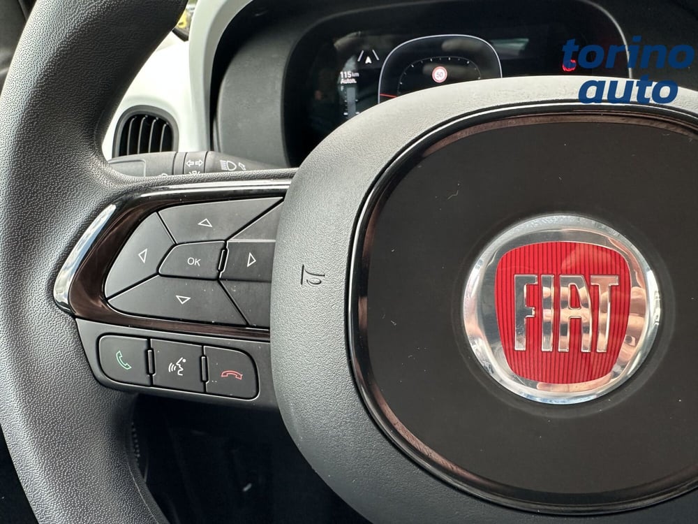 Fiat Panda Cross usata a Torino (16)