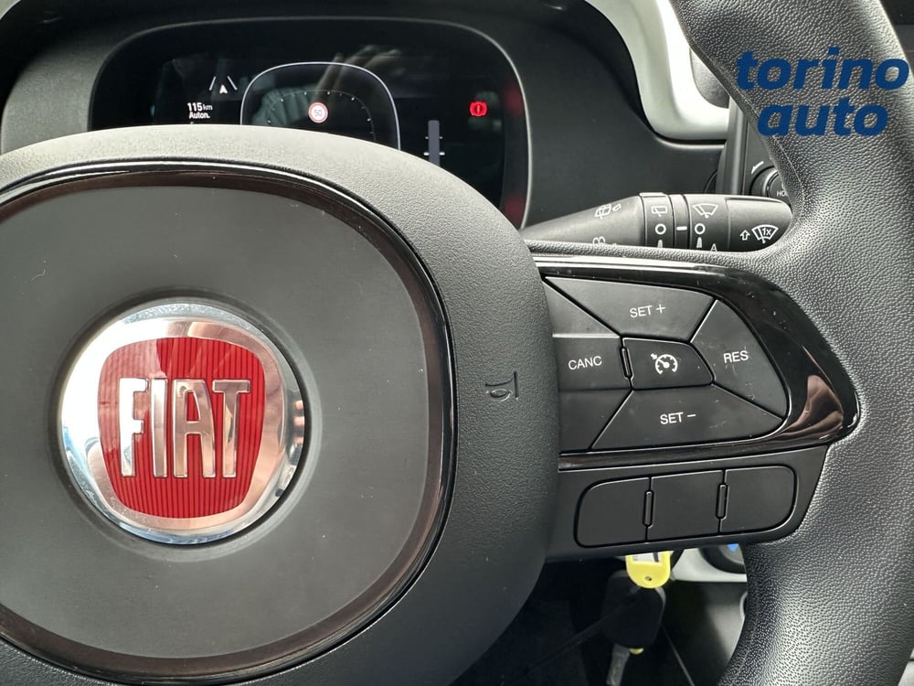 Fiat Panda Cross usata a Torino (17)