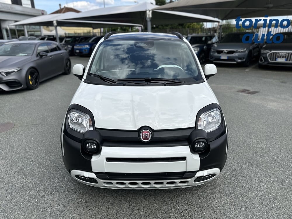 Fiat Panda Cross usata a Torino (2)