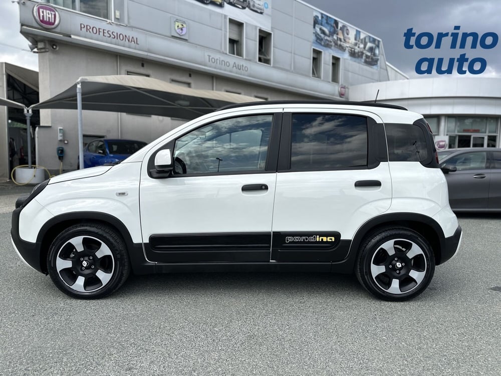 Fiat Panda Cross usata a Torino (4)