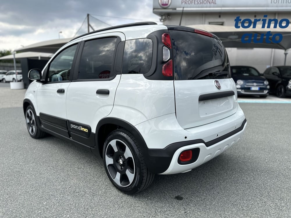 Fiat Panda Cross usata a Torino (5)