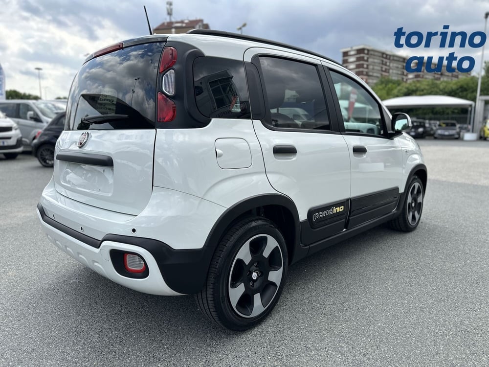 Fiat Panda Cross usata a Torino (7)